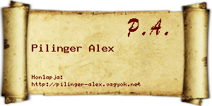 Pilinger Alex névjegykártya
